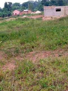 Ssentumbwe B.