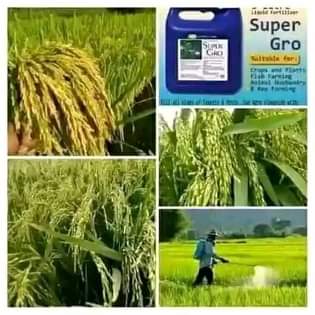 A picture of SUPER GRO organic fertilizer