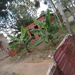 A picture of Nyumba inauzwa.