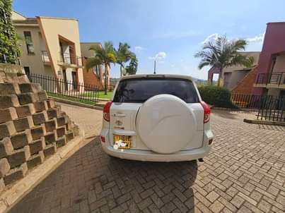 A picture of Rav4