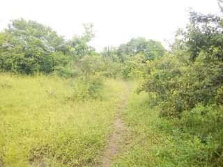 A picture of Shamba la eka 20 linauzwa hapa mbwewe