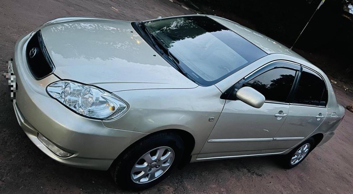 used toyota corolla