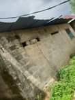 A picture of Boma