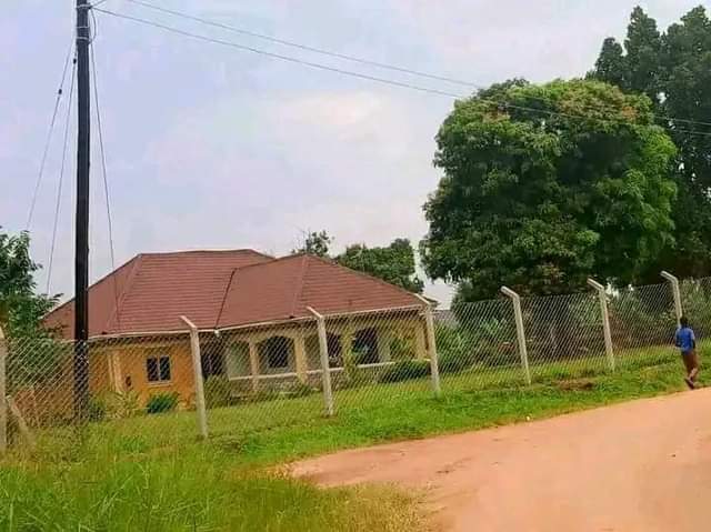 Mugerwa S.