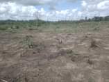 A picture of VINAUZWA LAKI 500 000 TU