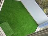 A picture of Grass Carpet 0757408702 0771452433