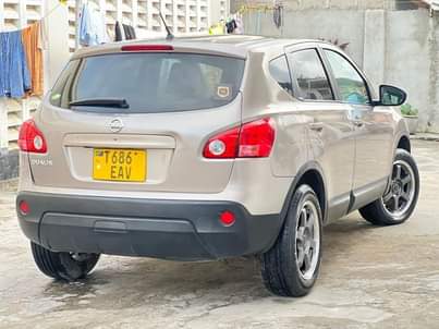 A picture of Nissan DUALIS