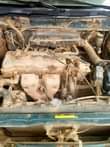 A picture of Nissan Primera Lift back Clean interior Cool Engine Good Gear