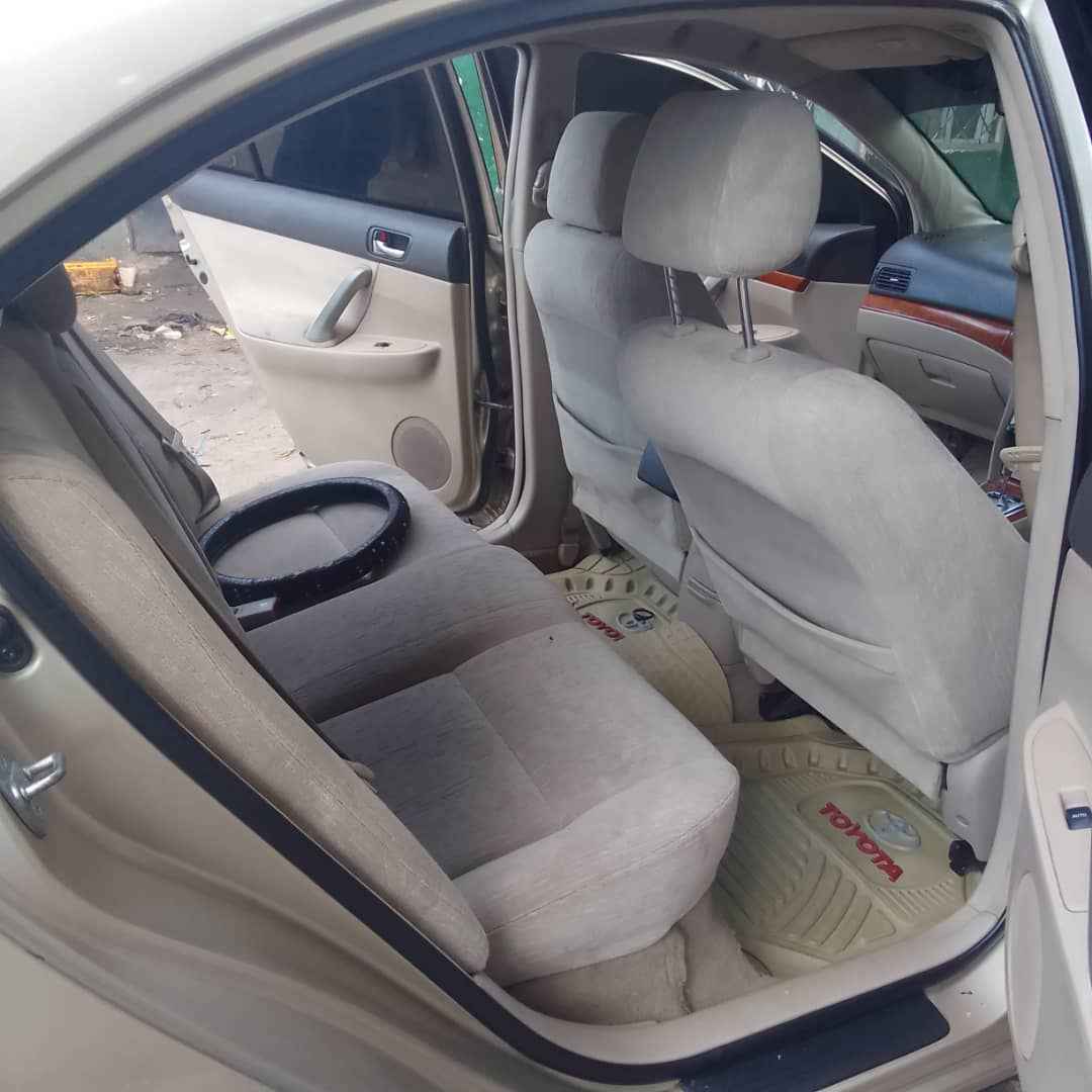 A picture of Premio new model
