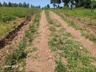 A picture of HILLVIEW PLOTS AVAILABLE AT AFFORDABLE PRICES