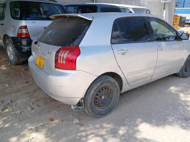 A picture of INATUPWA RUNX