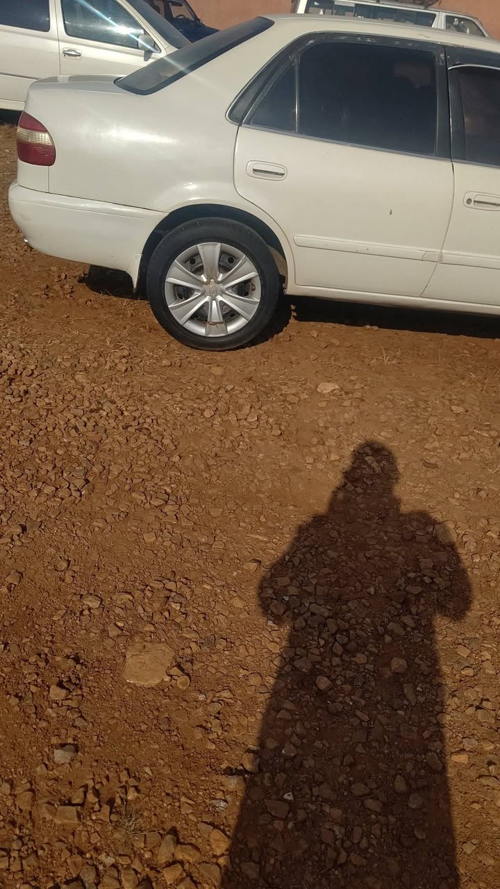 A picture of Car 8m