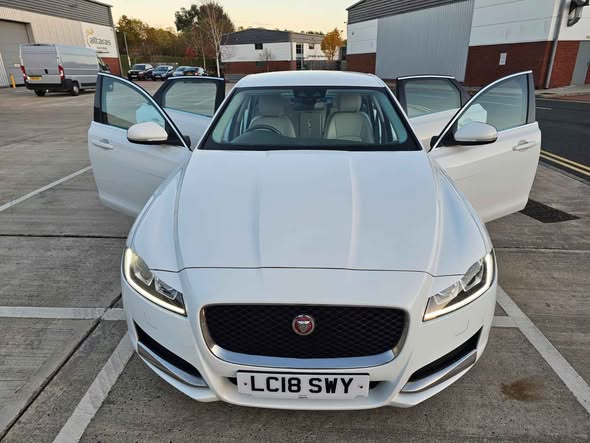 jaguar