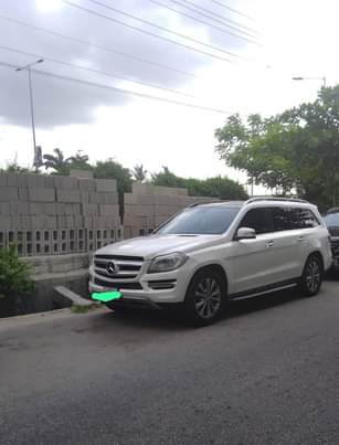 A picture of 2014 model WHITE GLS 450