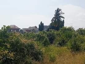 A picture of kiwanja sqmt 1023 nauza kipo kigamboni ungindoni kilometers2 kutoka main