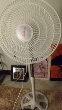 A picture of KITI TAA STAND FENI MITO
