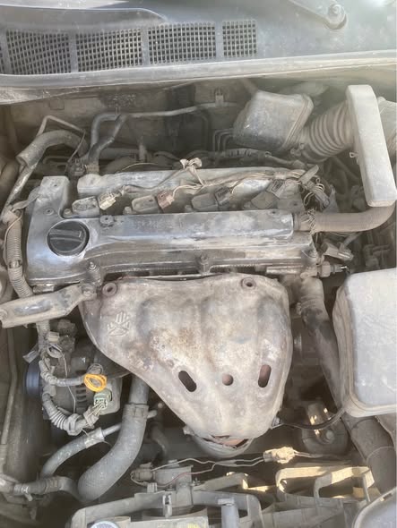 A picture of Toyota spider 2008