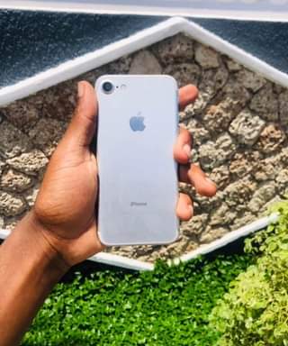 A picture of iPhone 7plain Clean Sana