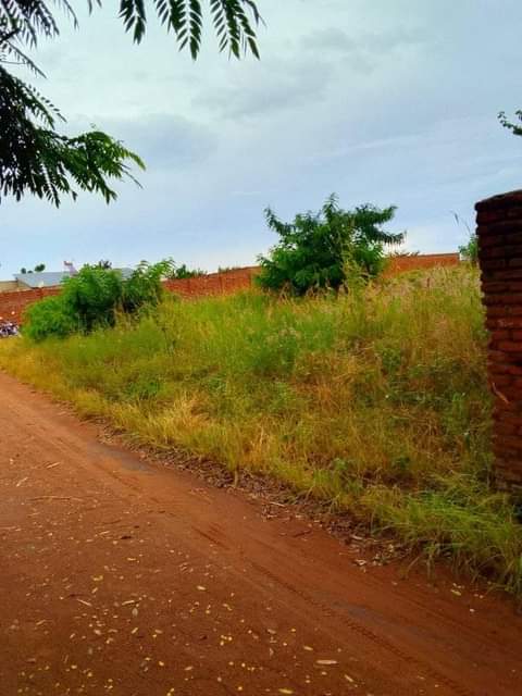 land