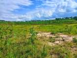 A picture of Plot size 100by50ft on sale 9m located Biharwe 2miles off