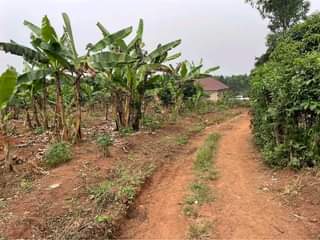 A picture of 2 Residential plots on quick sale at 6 5m each