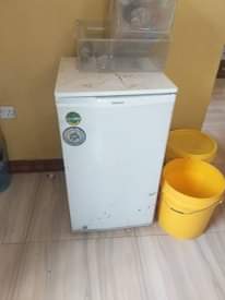 A picture of Friza