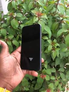 A picture of iphone 11 Duos