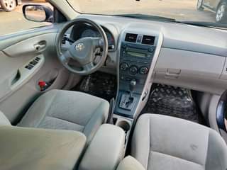 A picture of COROLLA
