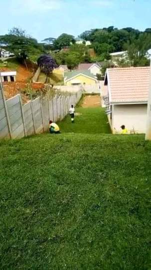 Kzn C.