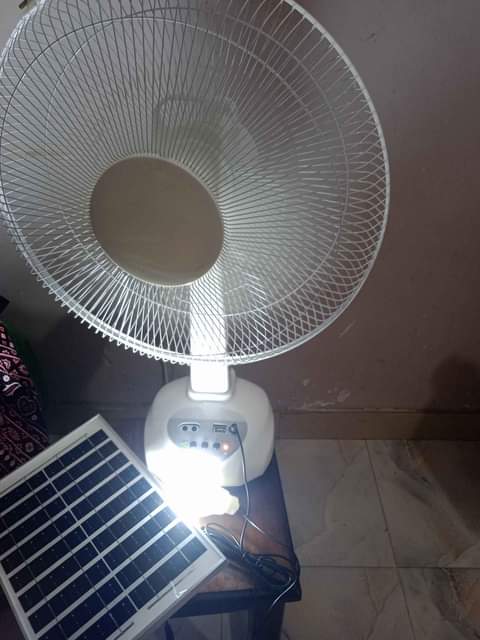 fans