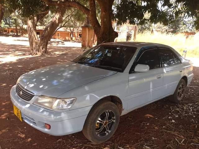 A picture of TOYOTA PREMEO