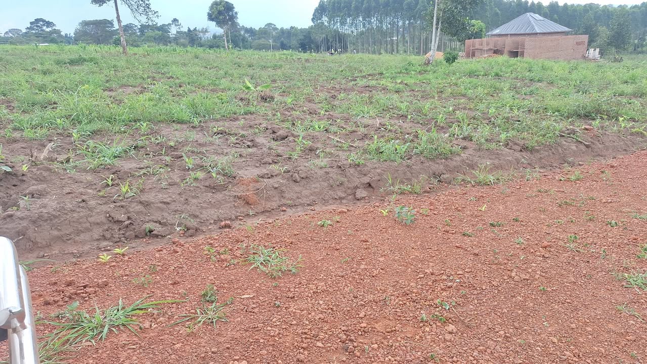 A picture of PLOTS AT 1 5M