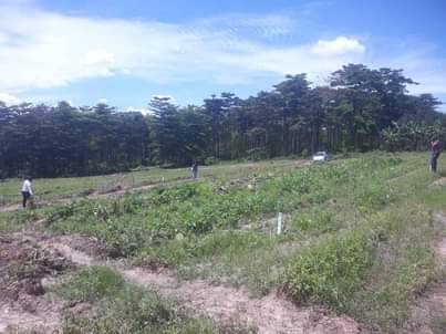 A picture of Plots for sale On Mitiyana