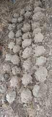 A picture of TUNACHIMBA VISIMA MIKOA YOTE 0624741577