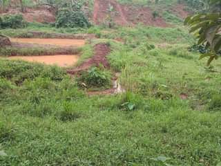 A picture of Commercial properties school hospital rental houses