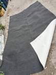 A picture of Nauza mazulia