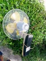fans