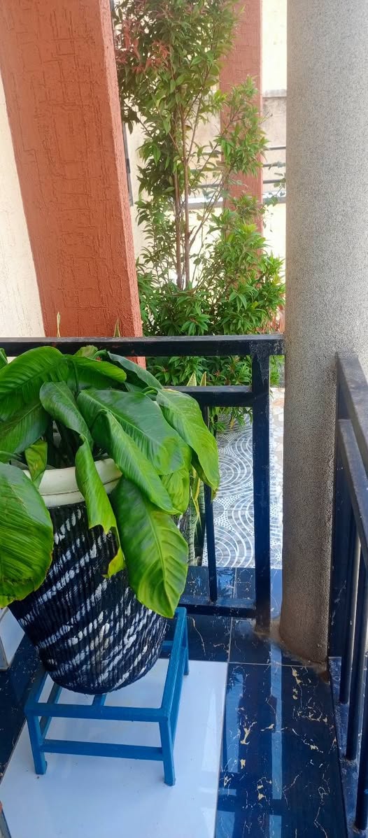 houses for sale