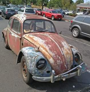 vw beetle