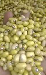 A picture of Maharage