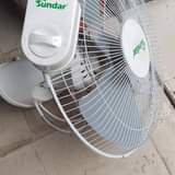 fans