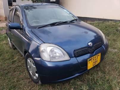 A picture of Vitz