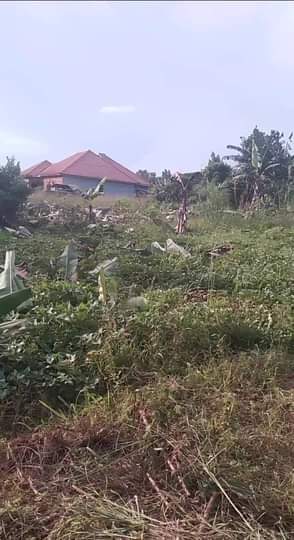 A picture of ANTI MR PROPERTY MANAGEMENT PLOT FOR SALE LOCATED AT NAKAWUKA
