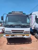 Collins M.