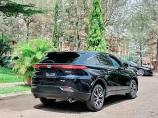 A picture of Venza 2021