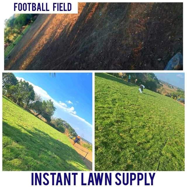 landscaping ssrvices