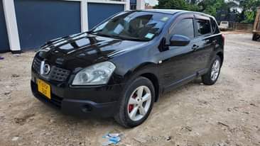 A picture of Nissan dualiz