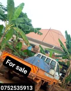 A picture of Toyota lite ace