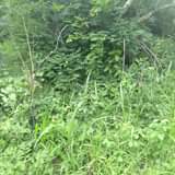 A picture of SHAMBA HEKA NNE LINAUZWA MILIONI MOJA NA LAKI MOJA LIPO