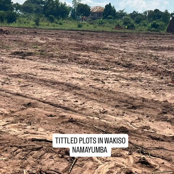 A picture of TITTLED PLOTS At 12M